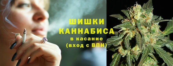круглые Вязьма