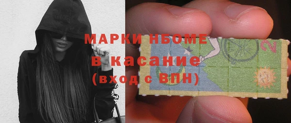 стаф Вяземский