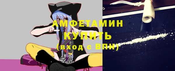стаф Вяземский