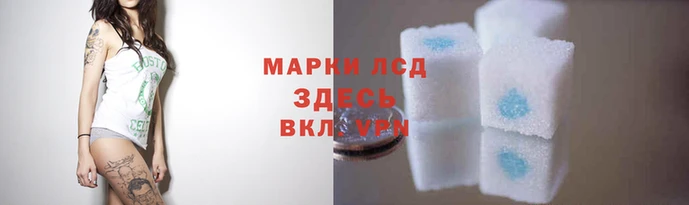 круглые Вязьма