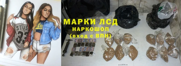 стаф Вяземский