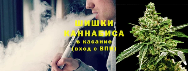 стаф Вяземский