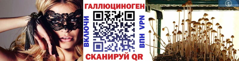 Купить  Набережные Челны  Галлюциногенные грибы Psilocybine cubensis 
